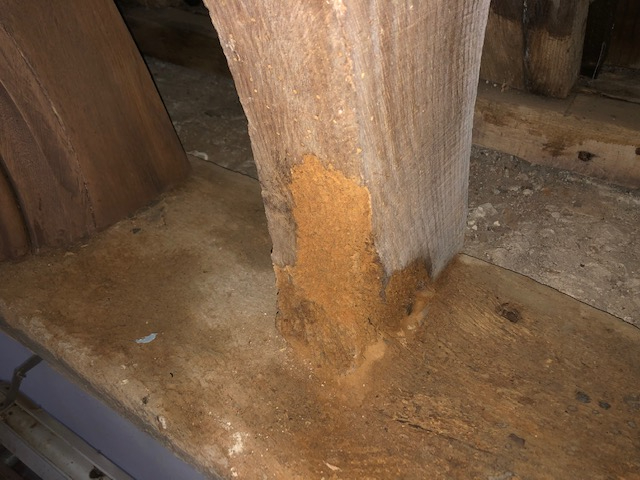 St Mary Magdalene Batcombe